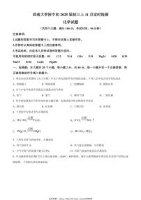 2024～2025学年重庆市西南大学附属中学校九年级(上)11月月考化学试卷(含答案)