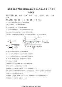 2024～2025学年湖北省襄阳市实验中学教育集团九年级(上)12月月考化学试卷(含答案)