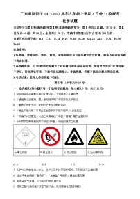 广东省深圳市2023-2024学年九年级上学期2月份33校联考化学试题（原卷版）-A4