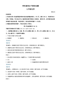山东省临沂市罗庄区2024-2025学年九年级上学期期中考试化学试题（解析版）-A4