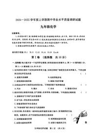 山东省临沂市河东区2024-2025学年九年级上学期11月期中化学试题