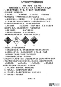 河南省郑州市中原区郑州外国语中学2024-2025学年九年级上学期12月月考化学试题