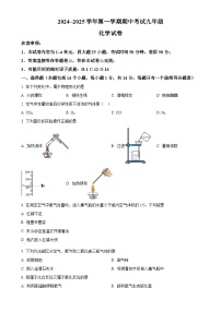 河南省洛阳市嵩县2024-2025学年九年级上学期期中考试化学试卷（原卷版）-A4