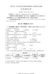 2024～2025学年山东省青岛市胶州市三里河实验学校九年级(上)12月月考化学试卷(无答案)