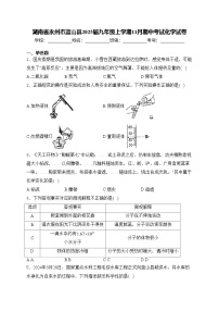 湖南省永州市蓝山县2025届九年级上学期11月期中考试化学试卷(含答案)