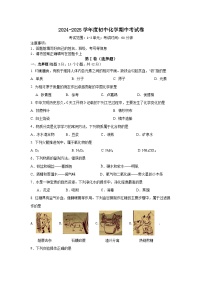 海南省国兴中学2024-2025学年九年级上学期期中考试化学试题