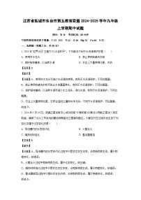 2024-2025学年江苏省盐城市东台市第五教育联盟九年级(上)期中化学试卷(解析版)