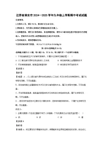 2024~2025学年江苏省淮安市九年级(上)期中化学试卷(解析版)