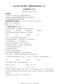 2024～2025学年河南省商丘市柘城县九年级(上)12月阶段性学情监测化学试卷(含答案)