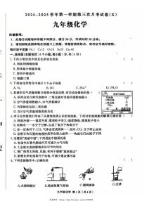 2024～2025学年河南省周口市郸城县名校九年级(上)第三次月考化学试卷(含答案)