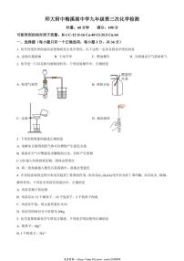 2024～2025学年湖南省长沙市师大附中梅溪湖中学九年级(上)第三次月考化学试卷(含答案)