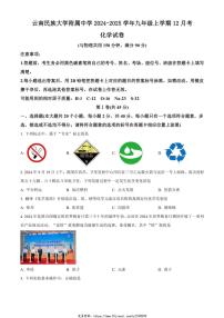 2024～2025学年云南省昆明市云南民族大学附属中学九年级(上)12月考化学试卷(含答案)