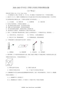 2024_2025学年安徽省合肥市望龙中学九年级(上)期末模拟化学试卷(含答案)