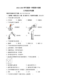 江苏省徐州市2024-2025学年九年级上学期期中检测化学试题（含答案解析）