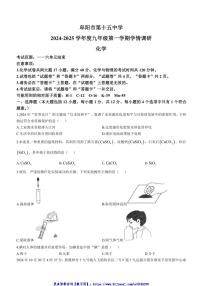 2024～2025学年安徽省阜阳市第十五中学九年级(上)第二次月考化学试卷(含答案)