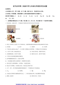 2024～2025学年河南省驻马店市第二初级中学九年级(上)12月月考化学试卷(含答案)