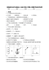 河南省驻马店市泌阳县2025届九年级上学期11月期中考试化学试卷(含答案)