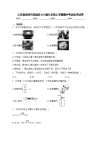 山东省滨州市滨城区2025届九年级上学期期中考试化学试卷(含答案)