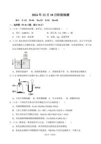 山东省淄博市张店区第九中学2024-2025学年九年级上学期12月份学情检测化学试题