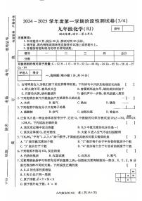 河南省驻马店市确山县2024--2025学年九年级上学期12月月考化学试题