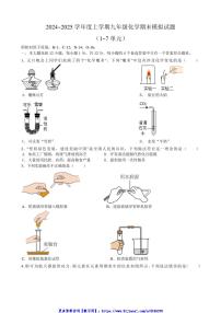 2024_2025学年安徽省合肥市第四十中学九年级(上)化学期末模拟试卷(含答案)