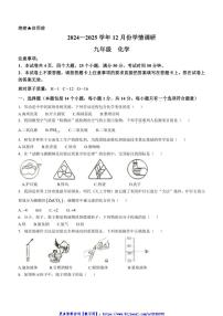 2024～2025学年河南省洛阳市洛宁县九年级(上)12月月考化学试卷(无答案)