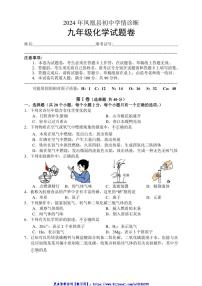 2024～2025学年湖南省湘西州凤凰县九年级(上)12月学情诊断化学试卷(含答案)