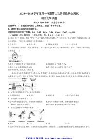 2024～2025学年江苏省南通市海安市十三校九年级(上)12月第二次阶段性联考(月考)化学试卷(含答案)