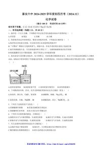 2024～2025学年山东省泰安市第六中学九年级(上)12月月考化学试卷(无答案)