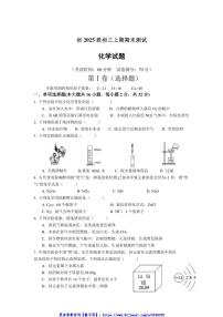 2024～2025学年重庆市九龙坡区渝高教育集团九年级(上)期末考试化学试卷(含答案)