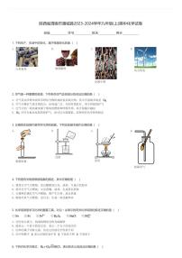 陕西省渭南市蒲城县2023-2024学年九年级(上)期中化学试卷(含解析)