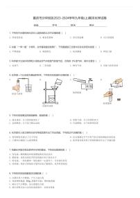 重庆市沙坪坝区2023-2024学年九年级(上)期末化学试卷(含解析)