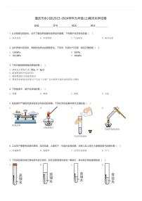重庆市永川区2023-2024学年九年级(上)期末化学试卷(含解析)