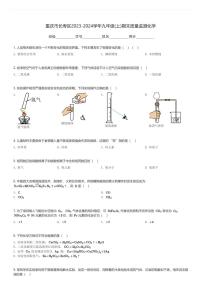 重庆市长寿区2023-2024学年九年级(上)期末质量监测化学(含解析)