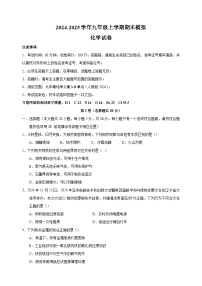 2024-2025学年九年级上学期化学期末模拟试卷（人教版2024+含答案解析）