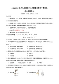 期末模拟卷01-2024-2025学年九年级化学上学期期末复习专题训练（人教版）