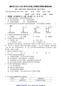 2024～2025学年广东省潮州市九年级(上)化学期末模拟试卷(含答案)