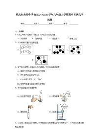重庆市南开中学校2024-2025学年九年级上学期期中考试化学试题