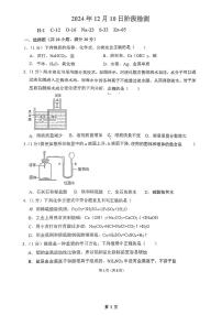 山东省淄博市张店区第九中学2024-2025学年九年级（五四学制）上学期12月月考化学试题