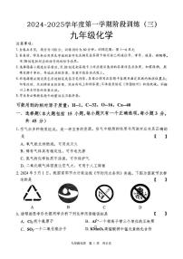 广东省东莞市2024--2025学年九年级上学期12月月考化学试题