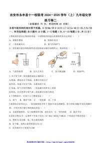 2024～2025学年江西省吉安市永丰县十一校联考(月考)九年级(上)12月月考化学试卷(含答案)