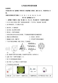 山东菏泽市牡丹区第二十一初级中学2024-2025学年九年级上学期12月份月考化学试卷（原卷版）-A4
