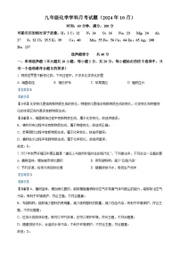 精品解析：山东省济南市槐荫区育华中学2024-2025学年九年级上学期10月月考化学试题（解析版）-A4