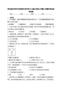 四川省泸州市泸州老窖天府中学2025届九年级上学期11月期中考试化学试卷(含答案)