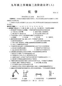 河南省安阳市林州市2024-2025学年九年级上学期12月月考化学试题