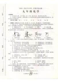 河南省平顶山市宝丰县2024-2025学年九年级上学期12月考试化学试题