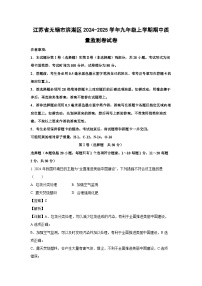 江苏省无锡市滨湖区2024-2025学年九年级(上)期中质量监测卷化学试卷(解析版)