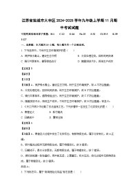 江苏省盐城市大丰区2024-2025学年九年级(上)11月期中考试化学试卷(解析版)