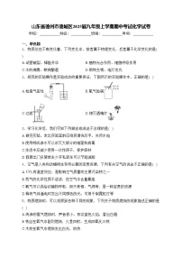 山东省德州市德城区2025届九年级上学期期中考试化学试卷(含答案)