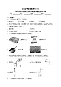 山东省泰安市新泰市2024-2025学年八年级上学期11月期中考试化学试卷(含答案)